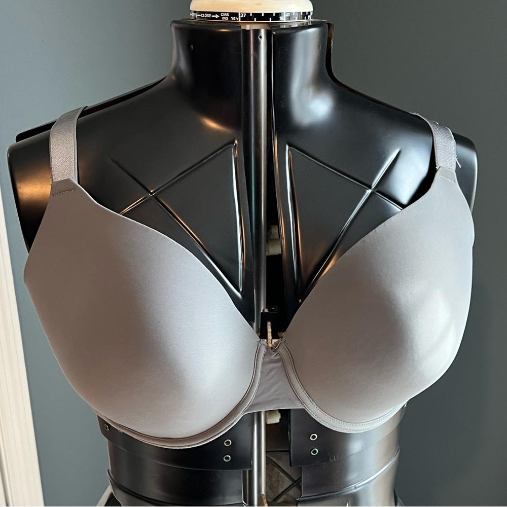 Gray Bra 42D